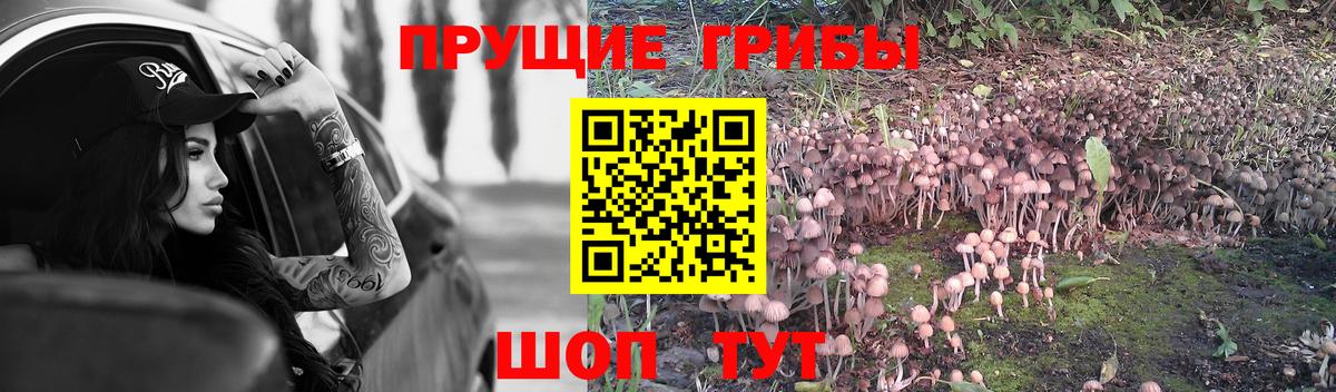 Галлюциногенные грибы MAGIC MUSHROOMS Таганрог
